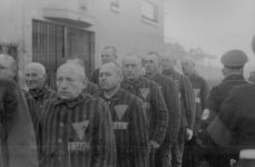 Prisoners in the concentration camp at Sachsenhausen, Germany, 19 Dec 1938.jpg