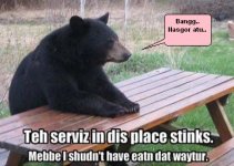 beruang duduk dikursi, pesan nasgor.jpg