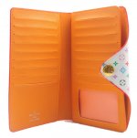 LV6203 A orange.JPG