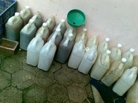 Urine Kelinci (1).jpg