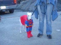 Image001.jpg