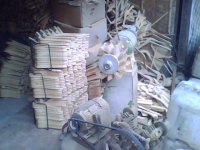 IMG0558A.jpg