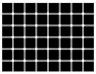 5825602_std.jpg