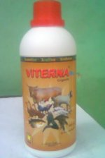 VTN PLUS.jpg