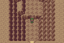 Pokemon Emerald_06.png