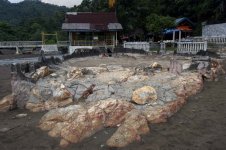 haluankapalmalinkundang8tb.jpg