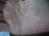 IMG_7455.JPG