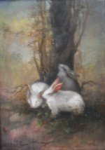 kelinci 87 x 60 91 ooc.JPG
