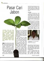 TRUBUS Mei 2009 Jabon-Paulownia_0001.jpg