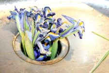 romantic-gestures-in-sink-erator-6.jpg
