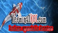 baner-t.koi-di-toko.jpg