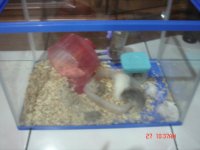 DSC00779.JPG