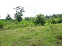 tn_31000M2_SikumanaMaulafa_4.jpg