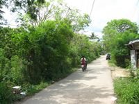 tn_31000M2_SikumanaMaulafa_6.jpg