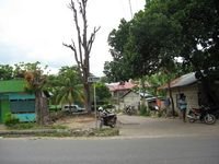 tn_31000M2_SikumanaMaulafa_7.jpg
