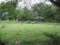 tn_Lokasi_6000M2_Ds_Oesao_1.jpg