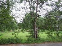 tn_Lokasi_6000M2_Ds_Oesao_3.jpg