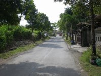 CIMG9137.JPG