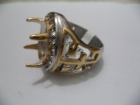 DSC00020.JPG