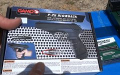 gamo p25.jpg