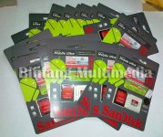 Sandisk-micro-SDHC-class-10-UHS-1.jpg