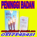 peninggi.jpg