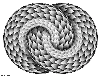 roda.gif