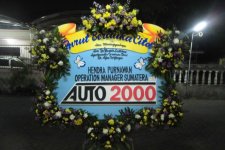 AUTO-1.jpg