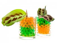 hydrogel 3.jpg