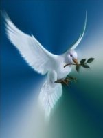 Dove_Of_Peace.jpg