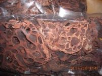 sarang semut plastik.jpg