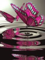 Purple_Butterfly.jpg