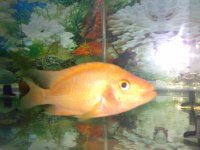 16042010247.jpg