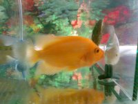 17042010250.jpg