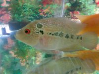 17042010272.jpg