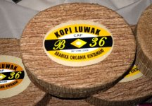 luwak01.jpg
