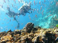similan 12.jpg