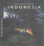 Riza Marlon buku.jpg
