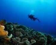 lombok-rajaampat.jpg