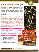 kopi-radix-box.jpg