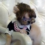 puppy-costume-01.jpg
