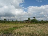 tn_30 Ha_1_Pukdale_Naibonat.jpg