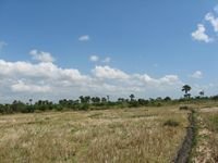 tn_30 Ha_4_Pukdale_Naibonat.jpg