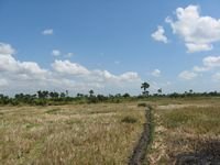 tn_30 Ha_5_Pukdale_Naibonat.jpg
