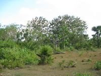 tn_33 Ha_1_Pariti_KpgTmr.jpg