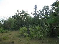 tn_33 Ha_3_Pariti_KpgTmr.jpg