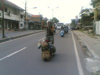 30112008.jpg