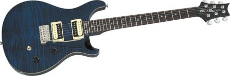 prs se custom 24.jpg