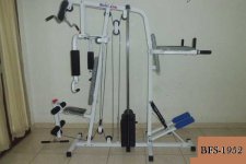 home gym 2 sisi stepper.jpg