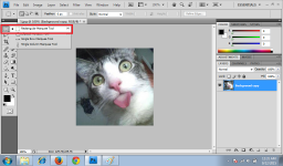 Rectangular Marquee Tool.png